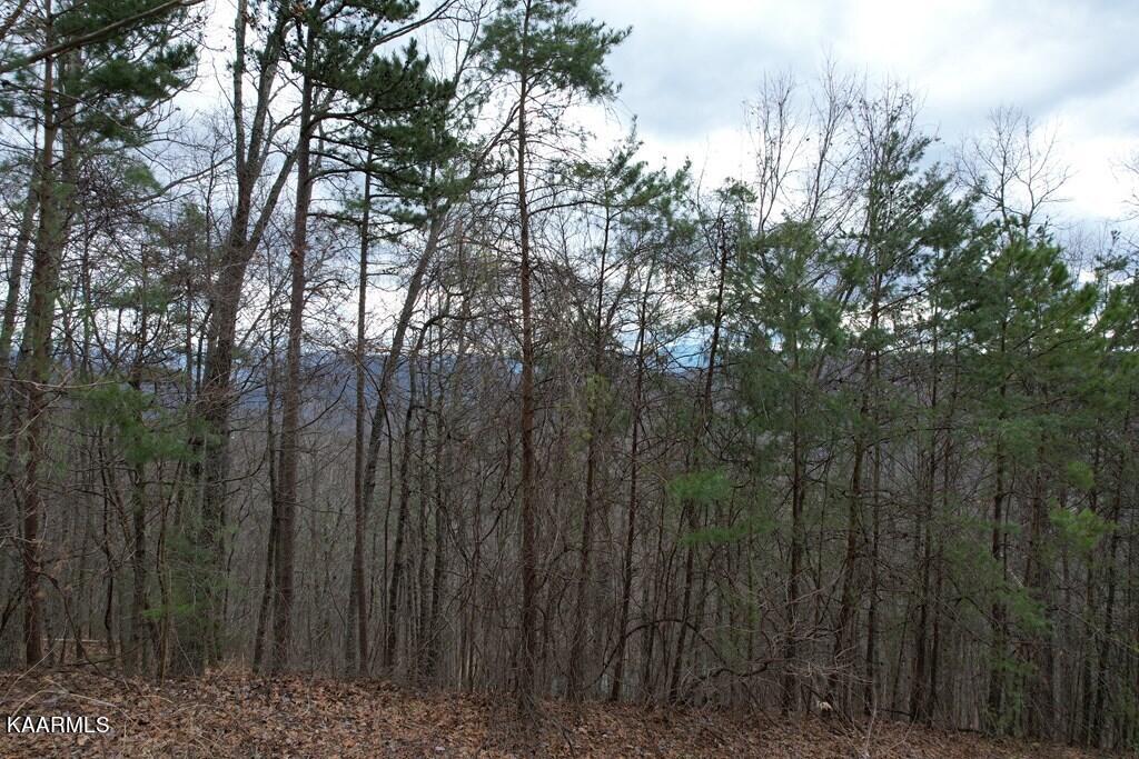Photo 20 of 20 of 117E Settlers View Lane land