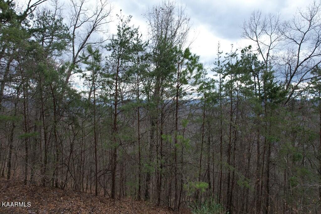Photo 19 of 20 of 117E Settlers View Lane land
