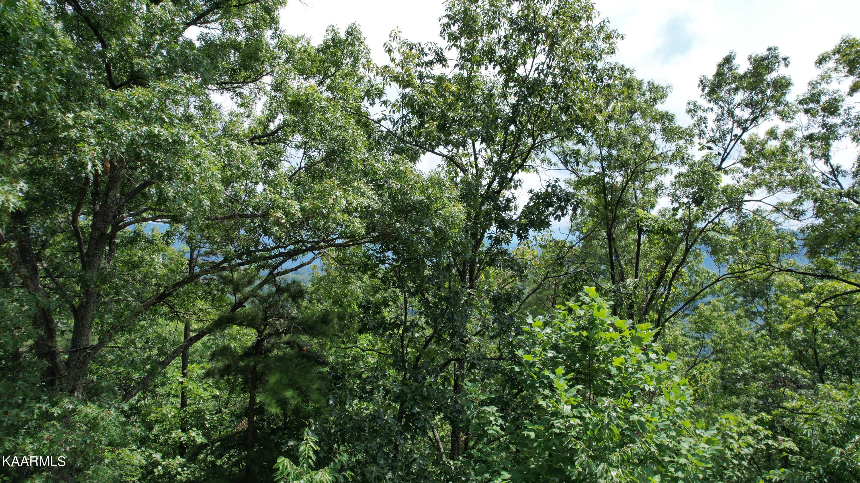 Photo 14 of 20 of 117E Settlers View Lane land