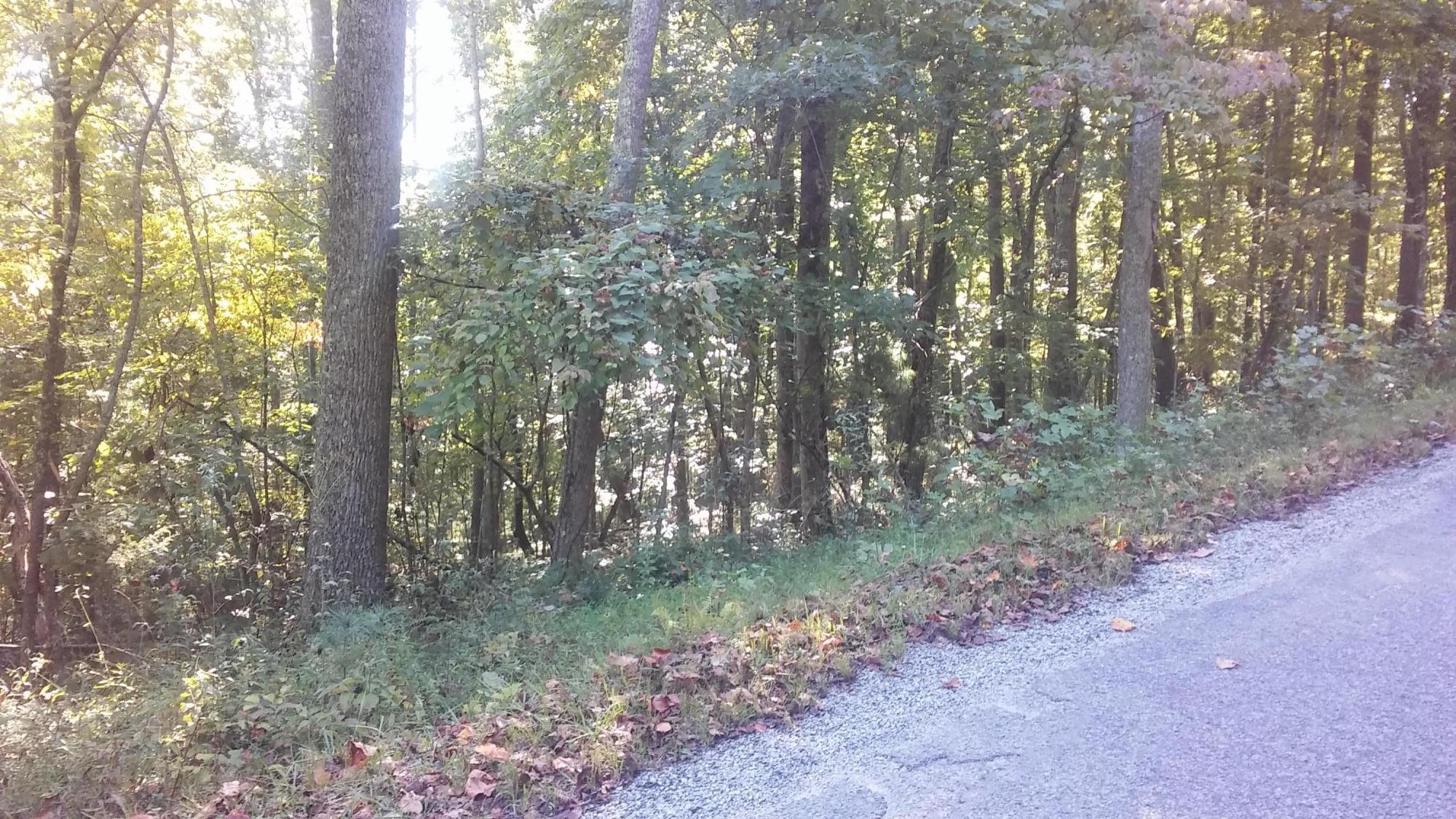 Photo 1 of 1 — 177 Pineridge Loop, Crossville, TN 38558