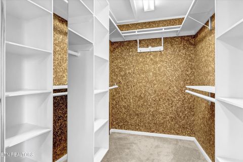 Tiny photo for 422 Crosby Drive, Bean Station, TN 37708 (MLS # 1331759)