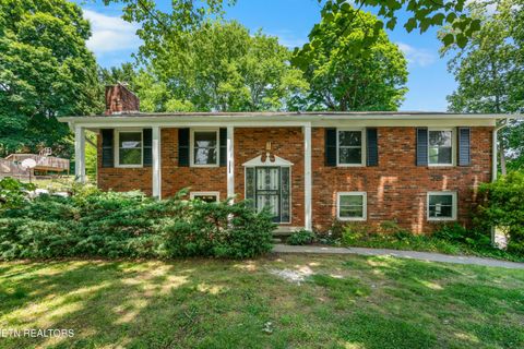 Photo of 4201 Pleasantwood Drive, Knoxville, TN 37921 (MLS # 1341223)