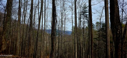 Photo of Emerald Springs Loop, Sevierville, TN 37862 (MLS # 1328783)