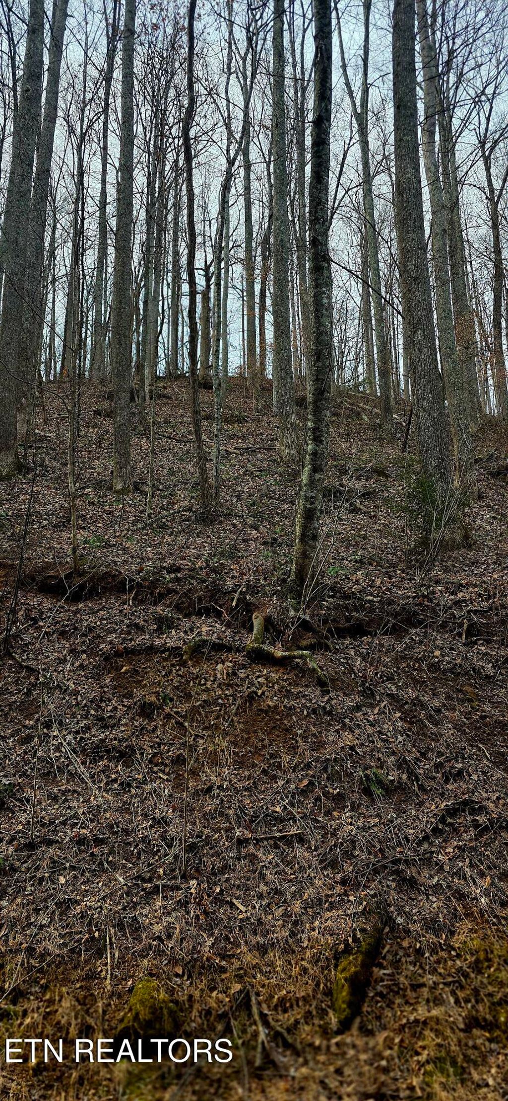 Photo of Emerald Springs Loop, Sevierville, TN 37862 (MLS # 1328783)