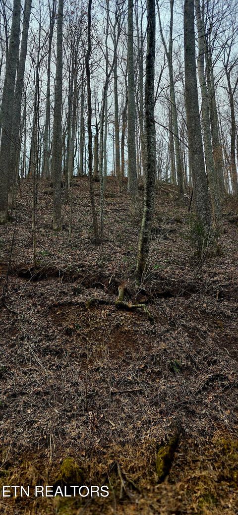 Tiny photo for Emerald Springs Loop, Sevierville, TN 37862 (MLS # 1328783)