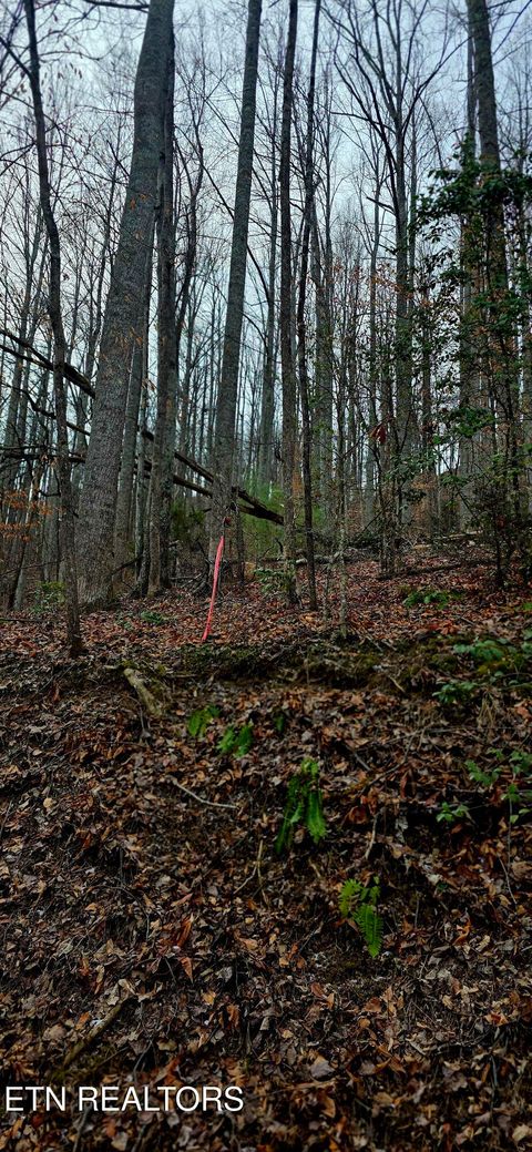 Tiny photo for Emerald Springs Loop, Sevierville, TN 37862 (MLS # 1328783)