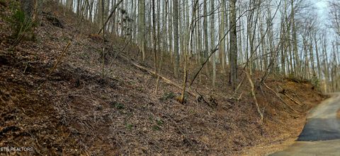 Tiny photo for Emerald Springs Loop, Sevierville, TN 37862 (MLS # 1328783)