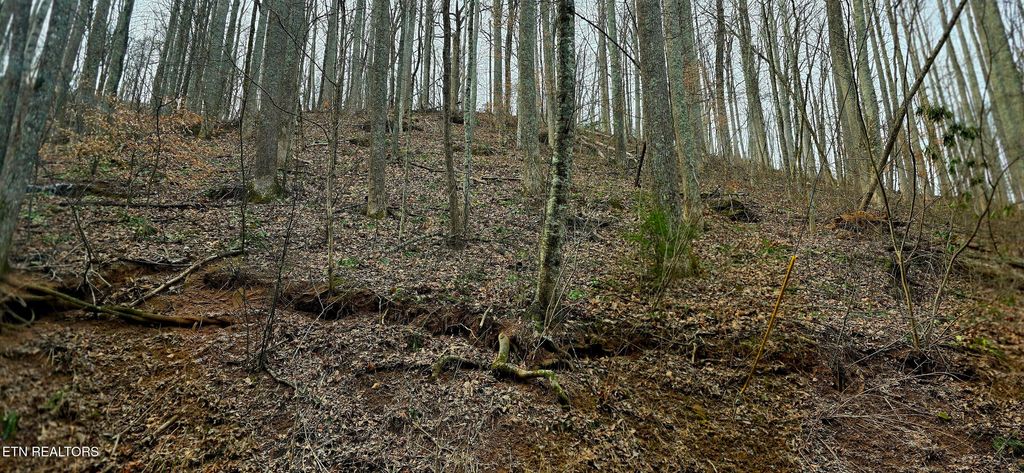Photo of Emerald Springs Loop, Sevierville, TN 37862 (MLS # 1328783)