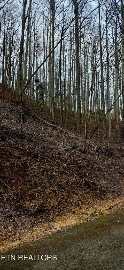 Tiny photo for Emerald Springs Loop, Sevierville, TN 37862 (MLS # 1328783)