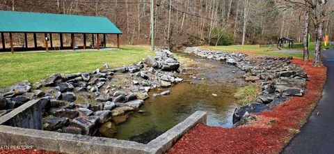 Tiny photo for Emerald Springs Loop, Sevierville, TN 37862 (MLS # 1328783)