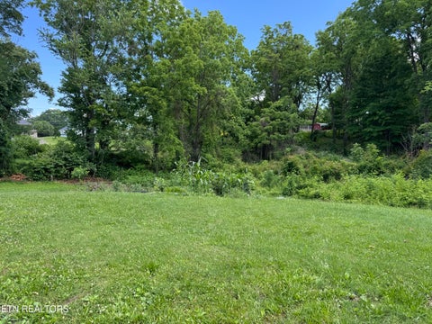 Tiny photo for 314 Wheeler Ave, Jamestown, TN 38556 (MLS # 1357357)