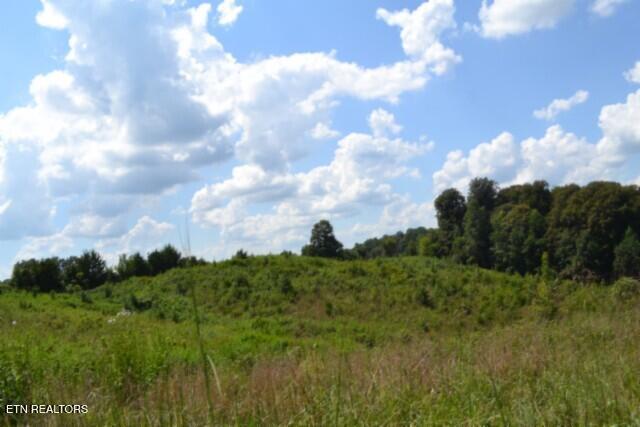 Photo of 22 Landing Lane, Smithville, TN 37166 (MLS # 1354411)