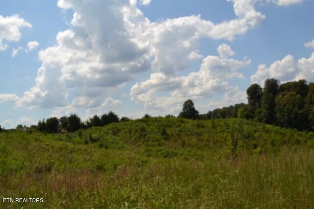 Photo of 22 Landing Lane, Smithville, TN 37166 (MLS # 1354411)