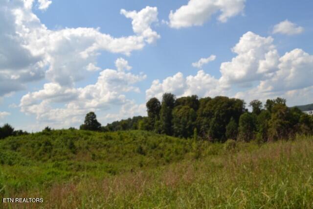 Photo of 22 Landing Lane, Smithville, TN 37166 (MLS # 1354411)