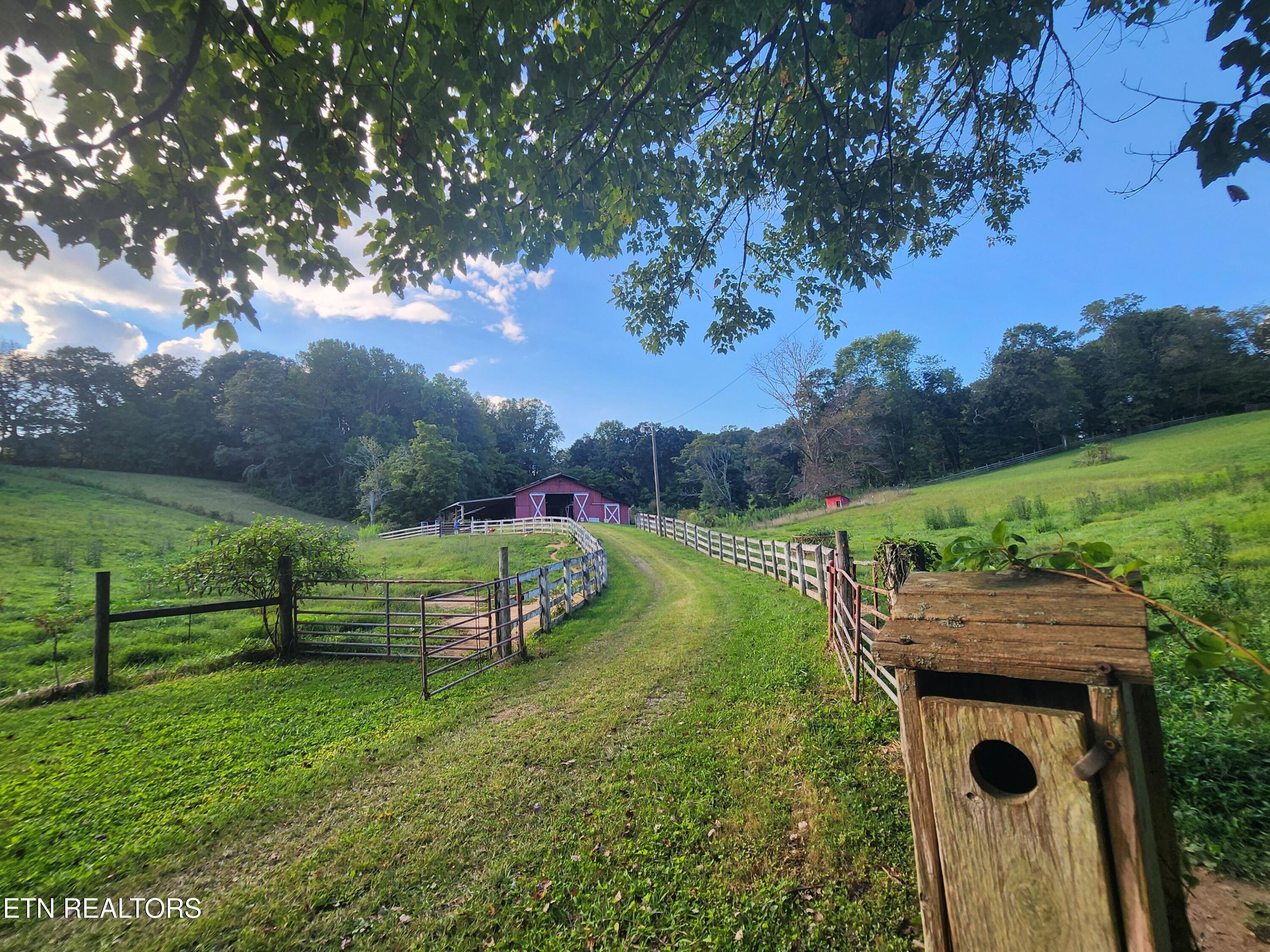 181 Long Hollow Rd