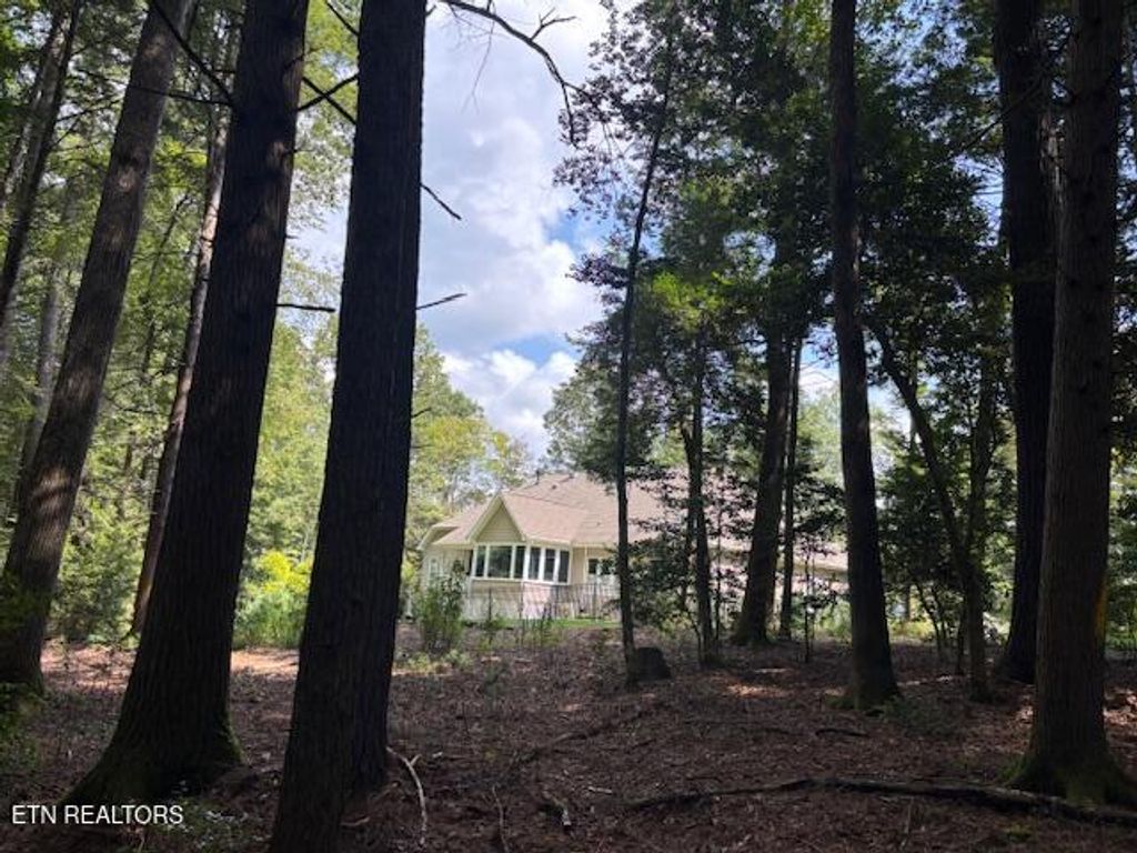 Photo of 151 Forest View Drive, Crossville, TN 38558 (MLS # 1314309)