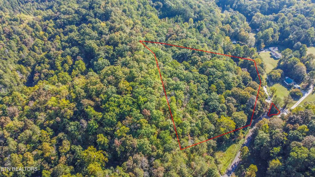 Photo of 2806 Old Chilhowee Rd, Walland, TN 37886 (MLS # 1241954)