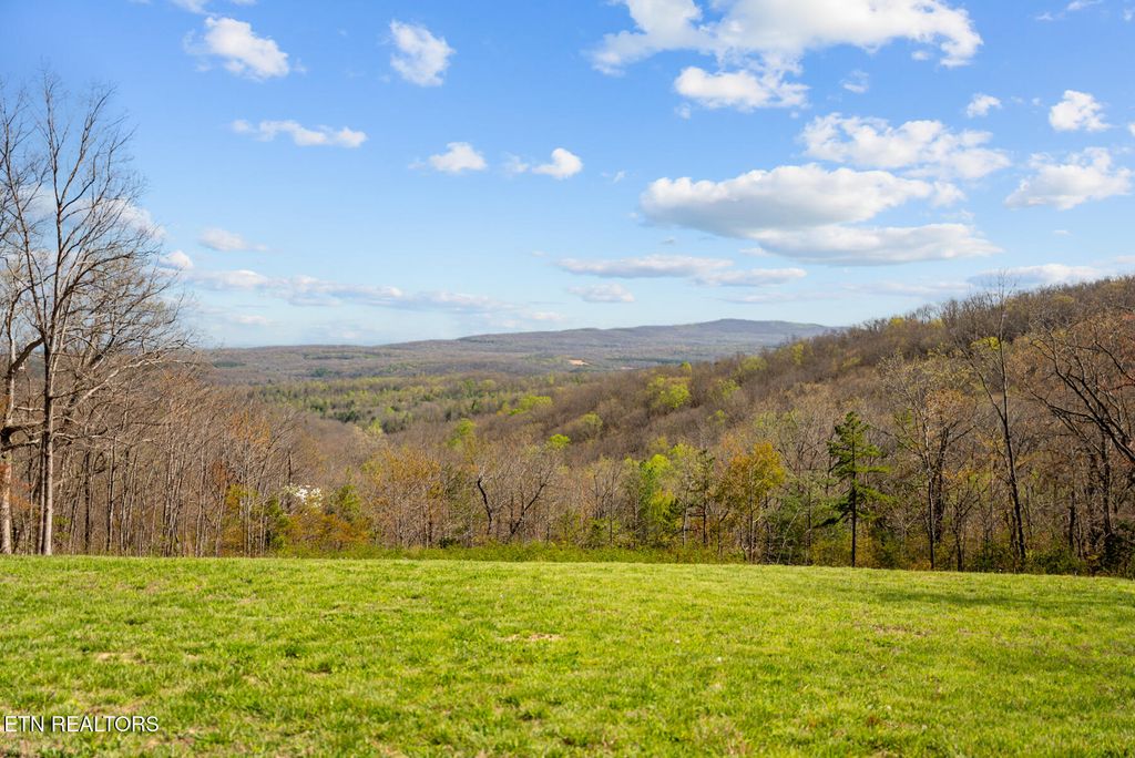 Photo of 74 Black Cat Tr #Black Cat Trail, Rockwood, TN 37854 (MLS # 1342660)