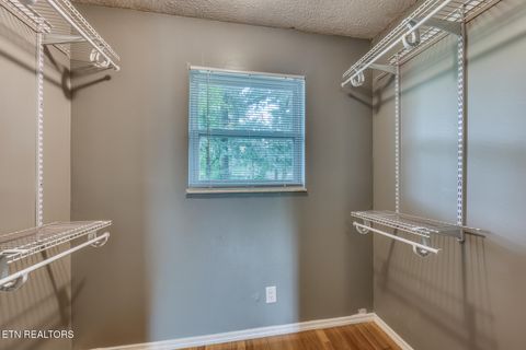 Tiny photo for 8202 Westland Drive, Knoxville, TN 37919 (MLS # 1330784)