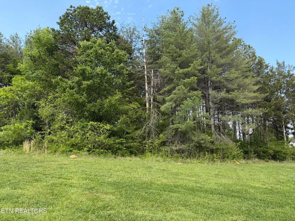 Photo of 1673 Harbor Crest Way, Knoxville, TN 37922 (MLS # 1337412)