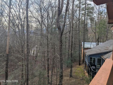 Tiny photo for 114 Cutter Gap Rd, Townsend, TN 37882 (MLS # 1333781)