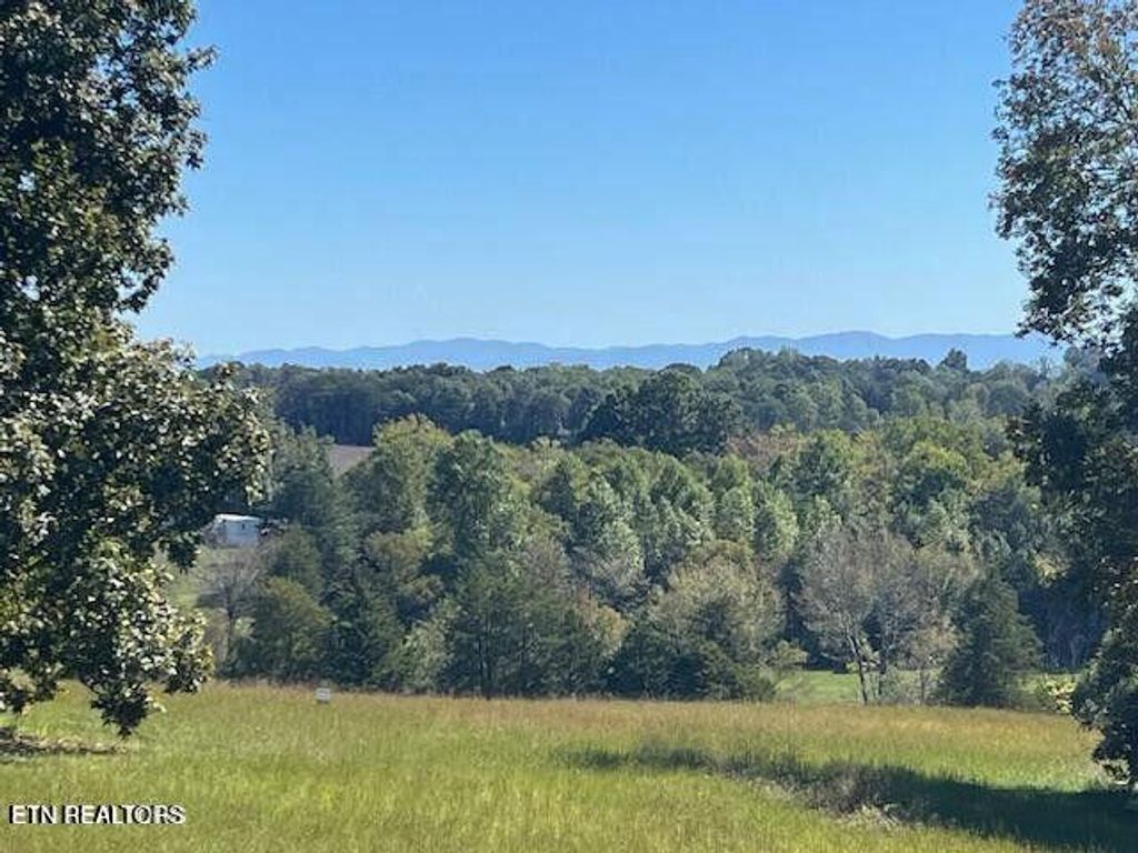 Photo of 327 Thompson Rd, Madisonville, TN 37354 (MLS # 1314728)