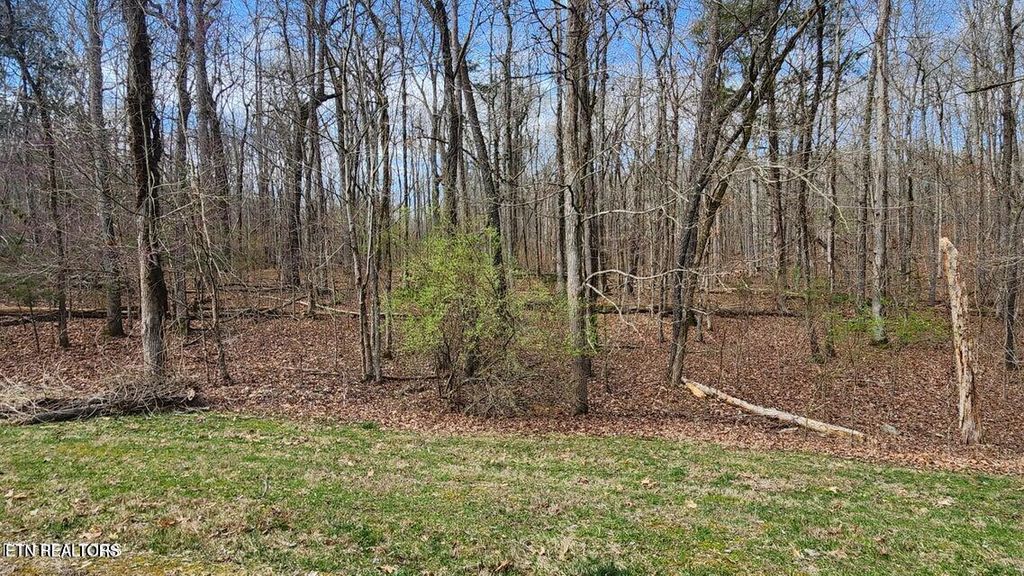 Photo of 210 E Shore Drive, Rockwood, TN 37854 (MLS # 1332516)