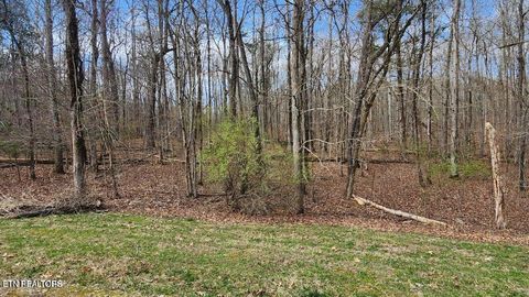 Photo of 210 E Shore Drive, Rockwood, TN 37854 (MLS # 1332516)