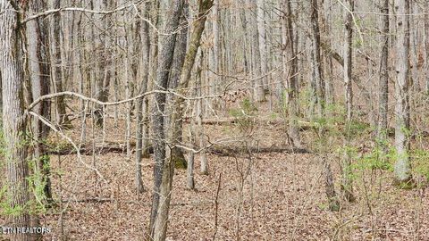 Tiny photo for 210 E Shore Drive, Rockwood, TN 37854 (MLS # 1332516)