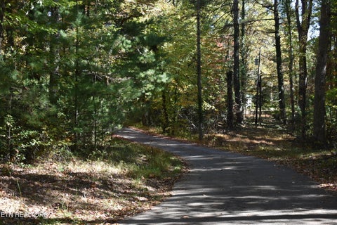 Tiny photo for 75 Campbell Lane, Sparta, TN 38583 (MLS # 1360074)
