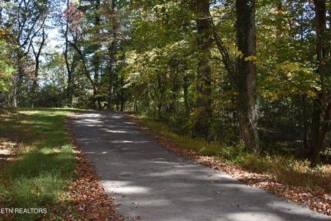 Tiny photo for 75 Campbell Lane, Sparta, TN 38583 (MLS # 1360074)