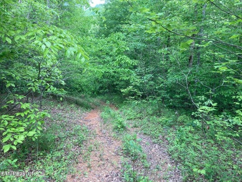 Tiny photo for Old US Highway 27-Mtn View Rd RD, Robbins, TN 37852 (MLS # 1355873)