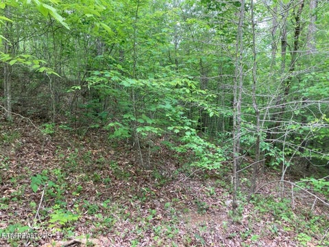 Tiny photo for Old US Highway 27-Mtn View Rd RD, Robbins, TN 37852 (MLS # 1355873)