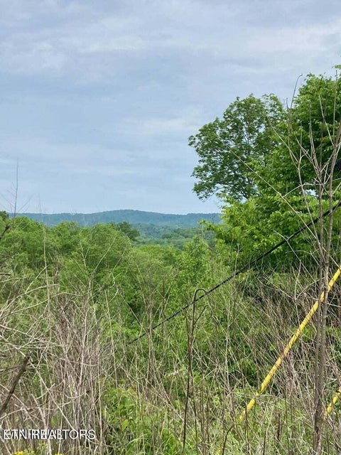 Tiny photo for Old US Highway 27-Mtn View Rd RD, Robbins, TN 37852 (MLS # 1355873)