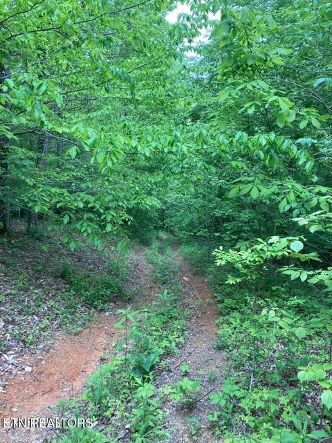 Tiny photo for Old US Highway 27-Mtn View Rd RD, Robbins, TN 37852 (MLS # 1355873)