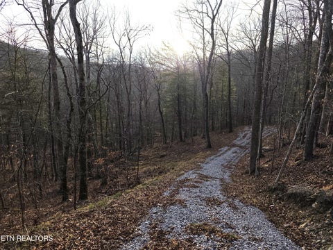 Tiny photo for Old US Highway 27-Mtn View Rd RD, Robbins, TN 37852 (MLS # 1355873)