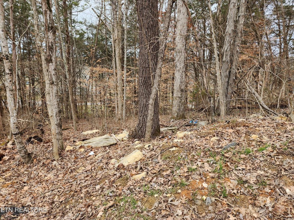 Photo of 6 Lynn Drive Drive, Maynardville, TN 37807 (MLS # 1290509)