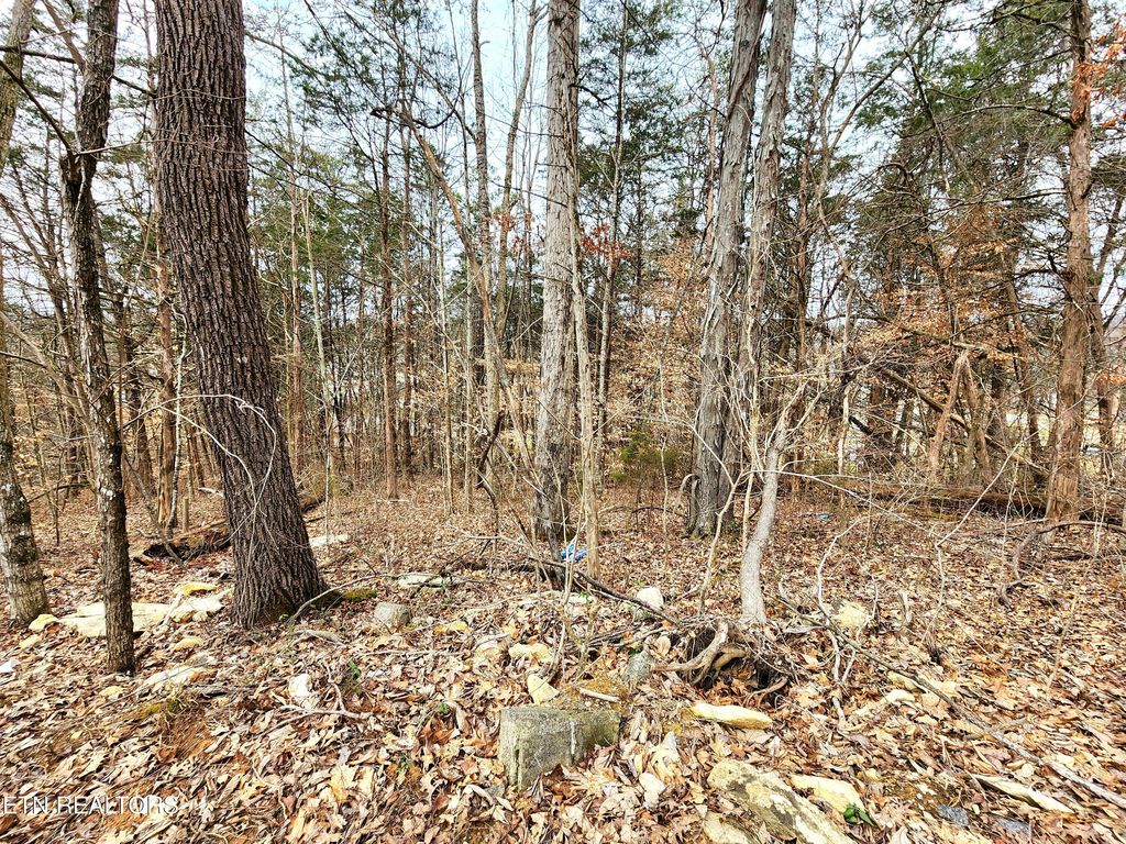 Photo of 6 Lynn Drive Drive, Maynardville, TN 37807 (MLS # 1290509)