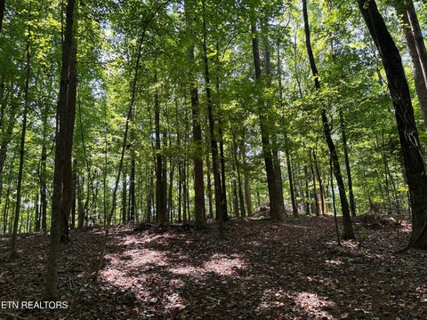 Tiny photo for 00 County Road 38, Riceville, TN 37370 (MLS # 1356117)