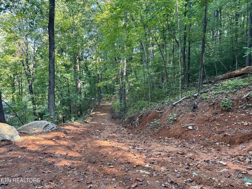 Photo of 00 County Road 38, Riceville, TN 37370 (MLS # 1356117)