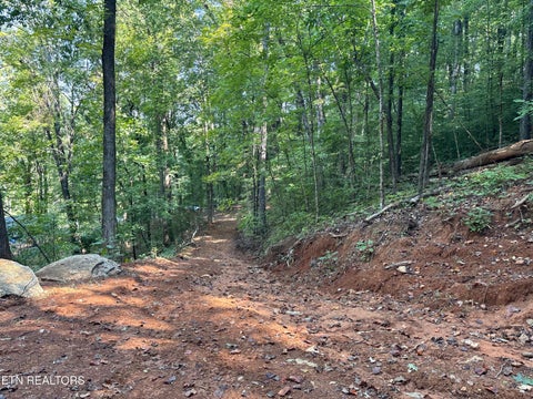 Photo of 00 County Road 38, Riceville, TN 37370 (MLS # 1356117)