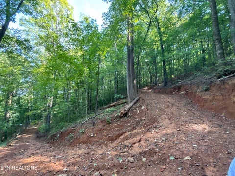 Tiny photo for 00 County Road 38, Riceville, TN 37370 (MLS # 1356117)