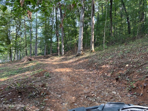Tiny photo for 00 County Road 38, Riceville, TN 37370 (MLS # 1356117)