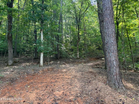Tiny photo for 00 County Road 38, Riceville, TN 37370 (MLS # 1356117)