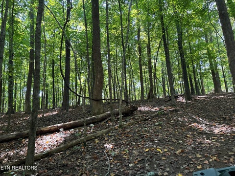 Tiny photo for 00 County Road 38, Riceville, TN 37370 (MLS # 1356117)