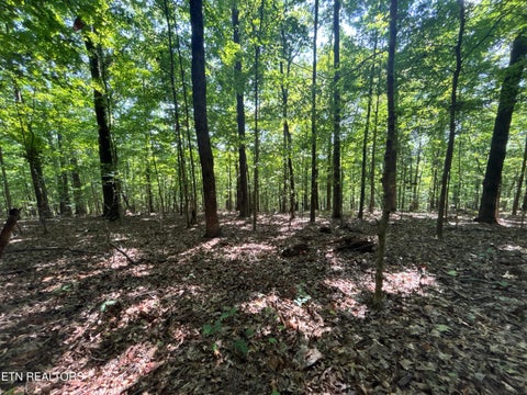 Tiny photo for 00 County Road 38, Riceville, TN 37370 (MLS # 1356117)