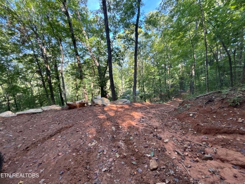Tiny photo for 00 County Road 38, Riceville, TN 37370 (MLS # 1356117)
