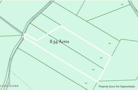 Tiny photo for 00 County Road 38, Riceville, TN 37370 (MLS # 1356117)