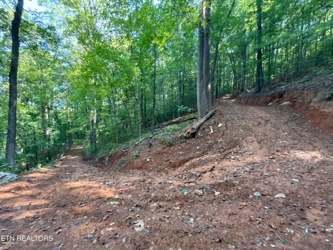 Tiny photo for 00 County Road 38, Riceville, TN 37370 (MLS # 1356117)
