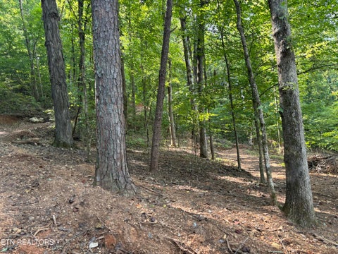 Tiny photo for 00 County Road 38, Riceville, TN 37370 (MLS # 1356117)